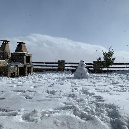Mountain Chalet Covilhã Eksteriør bilde